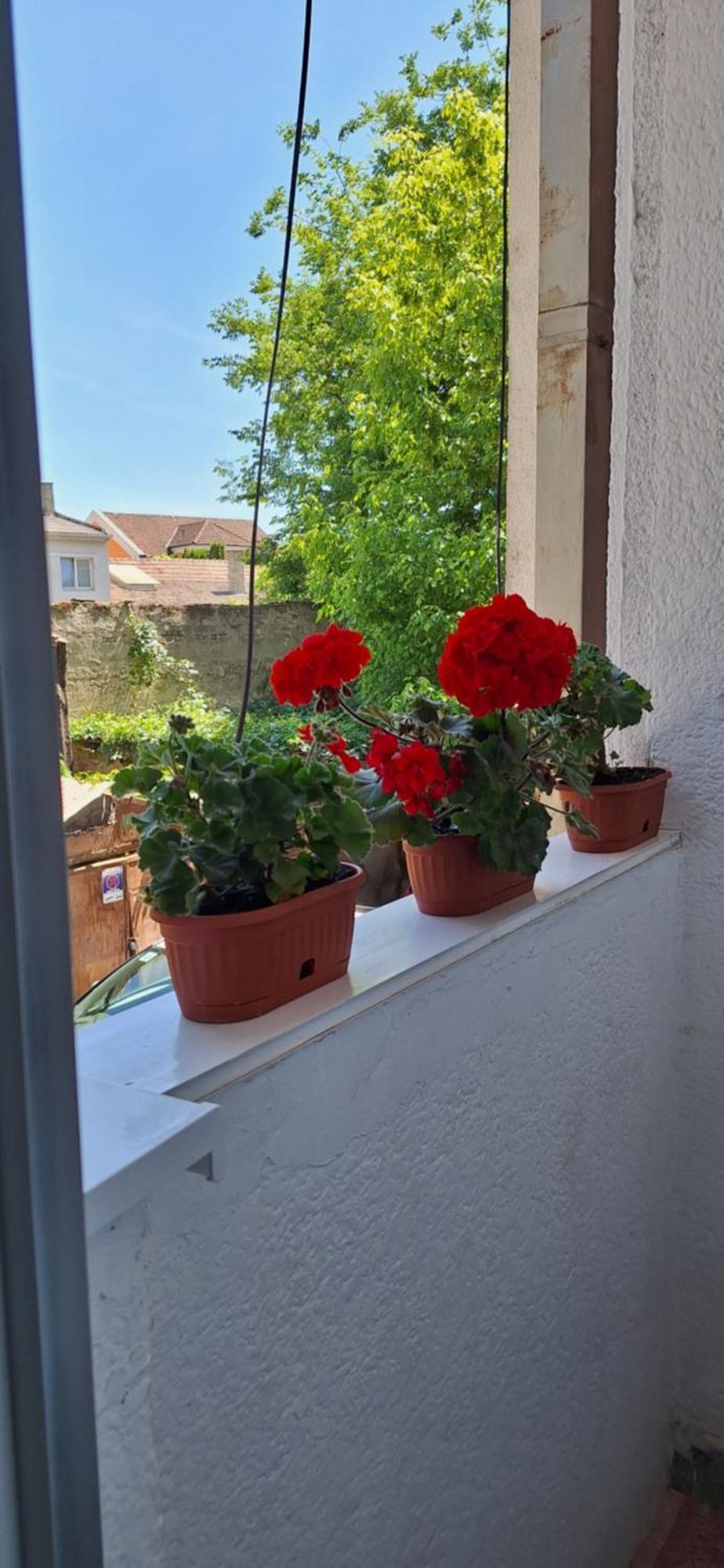 Apartman Lara Σουμπότικα Εξωτερικό φωτογραφία